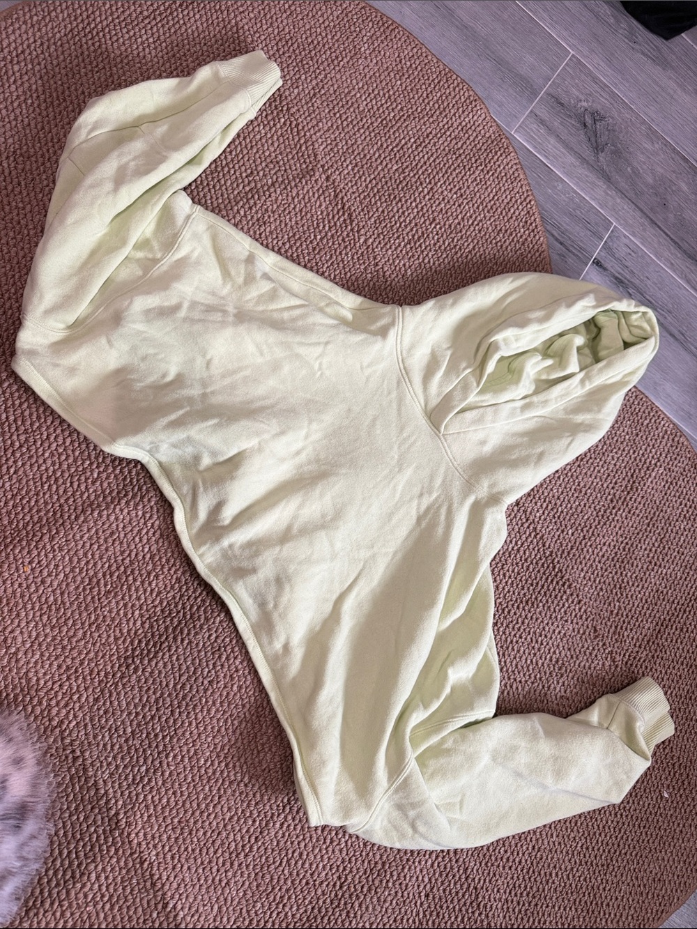 Express Pale Mint Cropped Hoodie in Soft Pullover